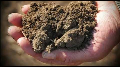 Environmental Balance EVS STD 5th - Chapter 4