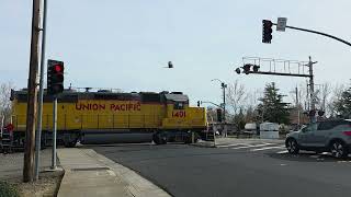 Union Pacific 1401 leads a power move in Roseville, CA