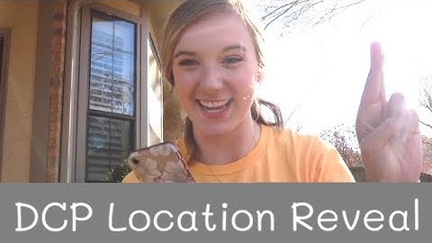 DCP Location Reveal || DCP Spring 2020