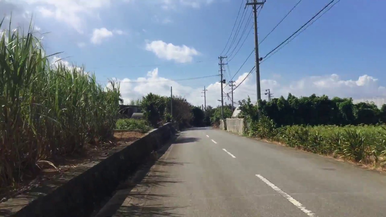 沖縄本島 読谷村 さとうきび畑を自転車で走る Okinawa Cycling Sugar Cane Fields Youtube