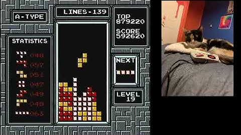 My second Maxout on NES Tetris! (1064760)