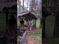 Pure Peace: Tropical Rain from a Forest Shelter ✨ #ASMR #SlowLiving #Nature #Peaceful #Relaxation