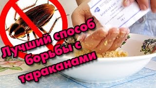 видео Как вывести тараканов борной кислотой