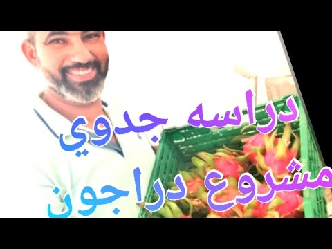 دراسه جدوي لمشروع الدراجون فروت بالتفصيل/Feasibility study of the Dragon Farming project