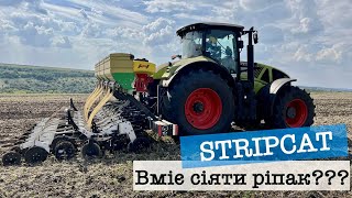 Посіяли ріпак по Strip-till на 50см✅ Stripcat став сівалкою???