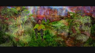 Terrence Mckenna - Eros&Eschaton (3 of 16)