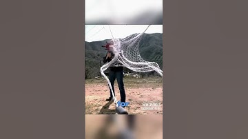 Net gun that Captures Everything