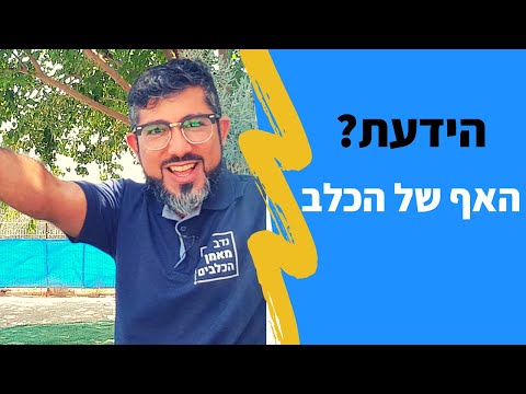 וִידֵאוֹ: מדוע האף של הכלב שלי רץ?