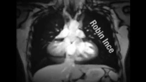 Inner Space (Introduction Video) (2012)