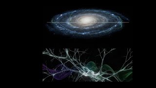 The Big Picture. #physics #cosmology #philosophy