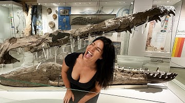 10 Incredibly Well-Preserved Prehistoric Fossil Discoveries!