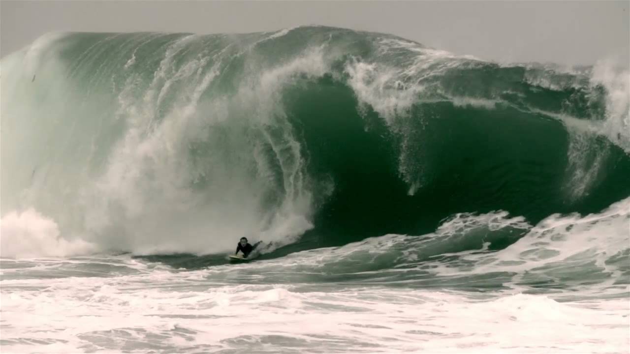 WEDGE- Slow Motion Carnage