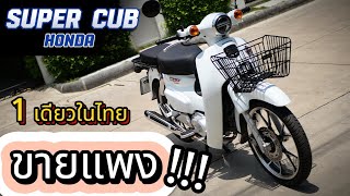 ( แพงมาก !!! ) 🌟 Dream Super Cub มือสอง 2022🔥🔥 โคตรสวย💥 โคตรถูก !!! รถเจ้าของร้าน !!!