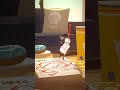 君はいつでもはなまる満点だよ♪ #shorts #夜空めぐる #個人勢VTuber