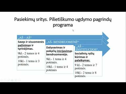 Video: Socialinės institucijos ir socialinės organizacijos: vadovavimo struktūra, tikslas ir metodai