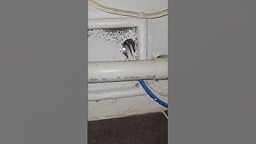 EICR Visual Check! 🔎 Finding Faults in Plymouth (Part 1) | Goodwin Electrical