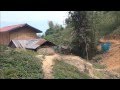 Jungle trek, Muang Long, Laos.