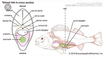 Lse 5 solved assignment 2020