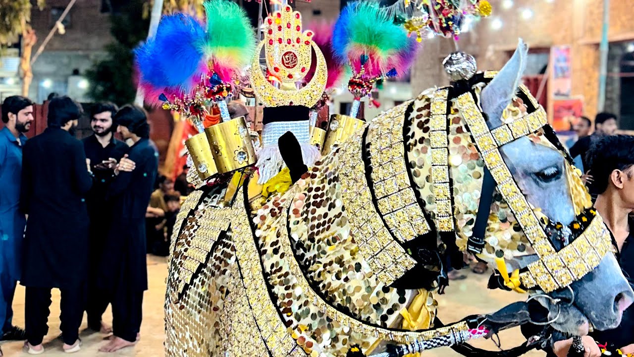 ZULJANA Majali Badshah Shadadpur Sindh 🧿🙌🏻🤍 8 MOHARRAM Duty 2025