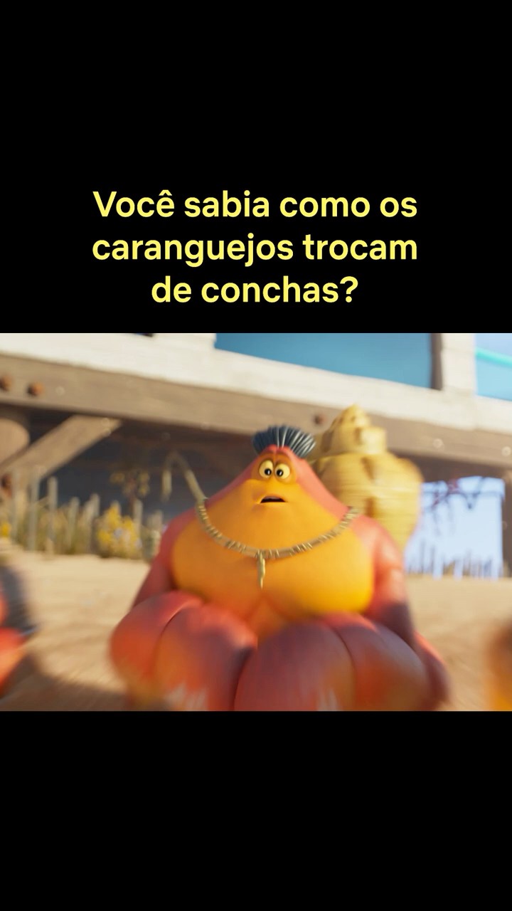 Você sabe como os caranguejos trocam de conchas? #DebaixoDoPier