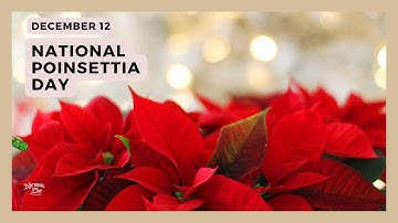 NATIONAL POINSETTIA DAY - December 12