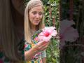 OMG A woman tries to feed a Humming bird captured in a video.#Hummingbird #Satisfying #Nature #Short