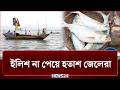 নদী চড়ে বেড়াচ্ছেন জেলেরা কিন্তু কাঙ্ক্ষিত ইলিশ কোথায়? | Hilsa fish | NEWS24