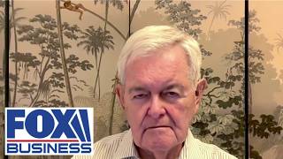 Details Newt Gingrich: In the end, you HAVE TO BREAK the regime News