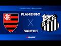 Flamengo 3 x 1 Santos - 05/04/2026 - Brasileirão