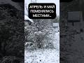 Ох уж эти погодные кульбиты.. #shorts