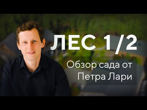 Сад «Лес 1/2» — Обзор от Петра Лари