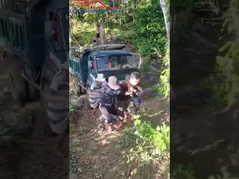 Video Có sức người sỏi đá cũng thành cơm ???????? #shorts - youtube