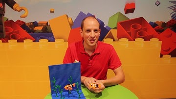 How to Build a Clown Fish