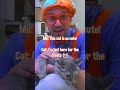 Blippi Visits an Animal Shelter! 🛖 #blippi