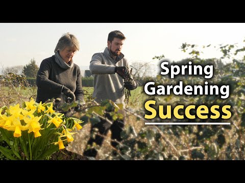 Video: 5 ting kjæledyrseiere bør vite før planting vårhager