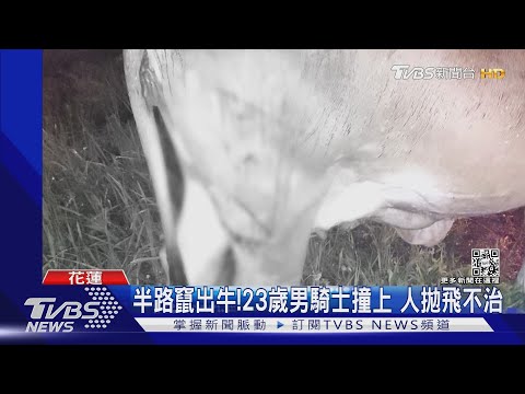 半路竄出牛!23歲男騎士撞上 人拋飛不治｜TVBS新聞