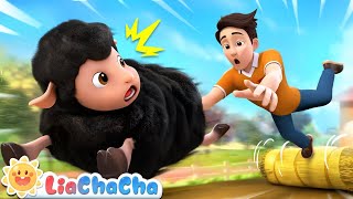 Baa Baa Black Sheep | EP23 | for Babies | LiaChaCha Nursery Rhymes  | phonic song | abc kids zone