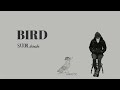 SATORI.shiraishi BIRD [Official Music Video]