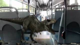 Dino Fx-Ühistranspordis