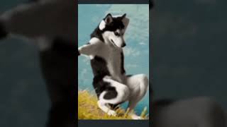 new dance steps unlock 🤣🤣