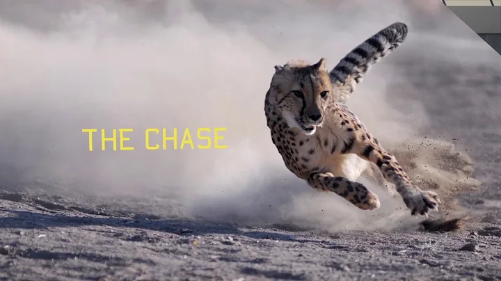 PORTDEF SU6 Demo Reel, Rob Tanzola SPVFX