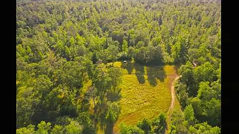 380 Acres For Sale Jefferson County Mississippi