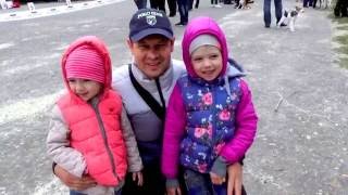 Смотрим выставку собак памяти Галины Каргиной Watching the dog show in memory of Galina Kargina Смотрим выставку собак памяти Галины Каргиной Watching the dog show in memory of Galina Kargina