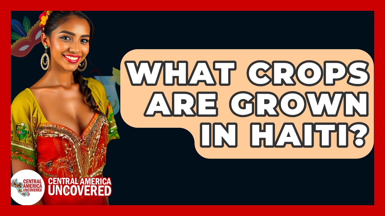 What Crops Are Grown In Haiti? - Central America Uncovered