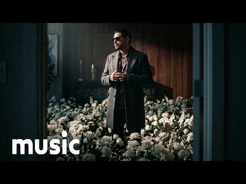 Sinceramente, No - Music Firme style (Music Video)