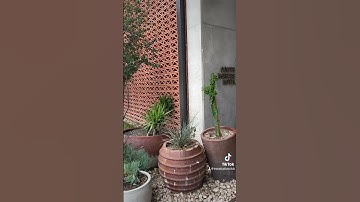 South Congress Hotel in Austin. #travelagent #travel #travelgram #vacation #travelblogger