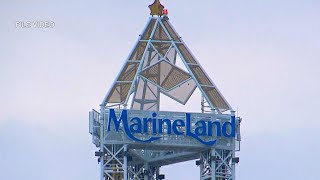 12 whales and one dolphin died at Marineland in the past 4 years