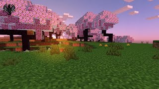 ZiNi Shaders || Realistic Shaders || No Clickbait || Mcpe 1.20 +