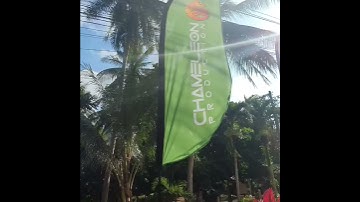 Beach Flag Feather in Strong Wind