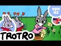 Youtube Thumbnail title